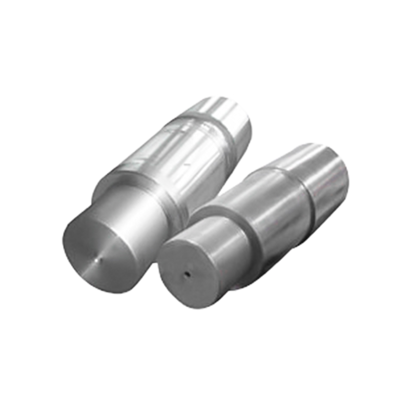 Deniz Dümen İğnesi Dövmeleri