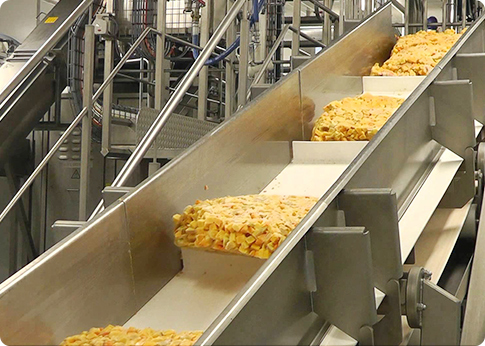 Gıda ve Yem Makineleri Dövmeleri